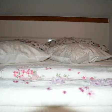 Dante Apartman