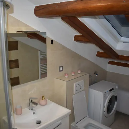 Dante * 스플리트